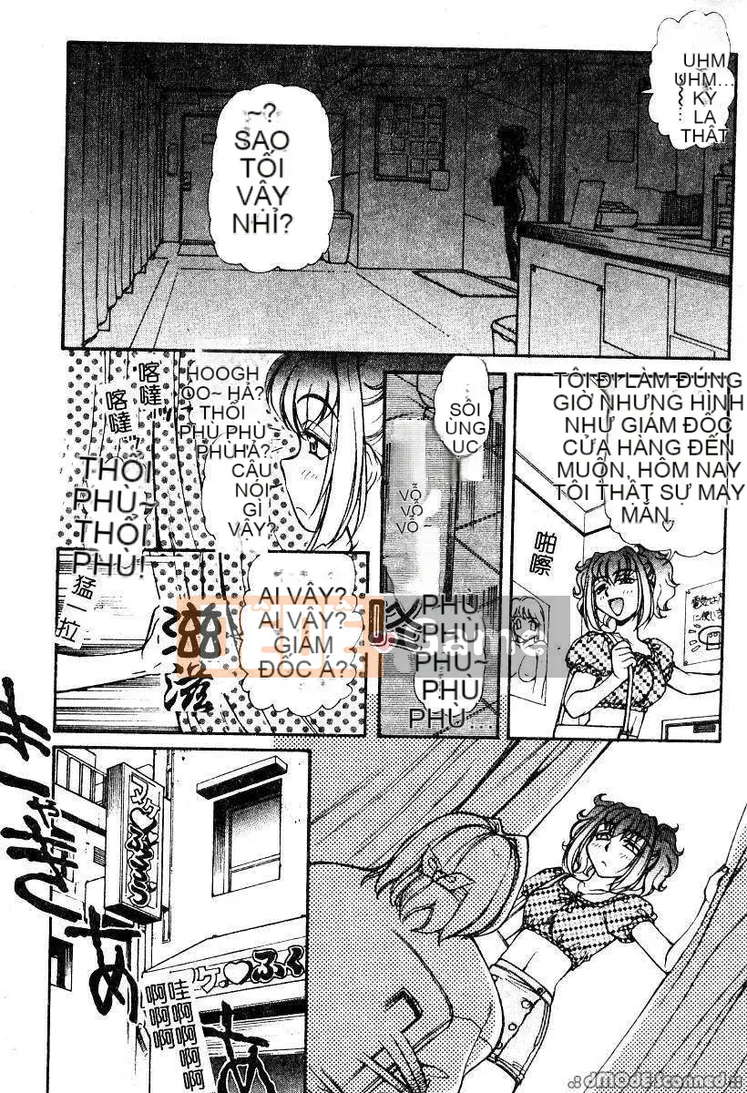 [Thỏ Mertz] Chủ nghĩa thần tượng